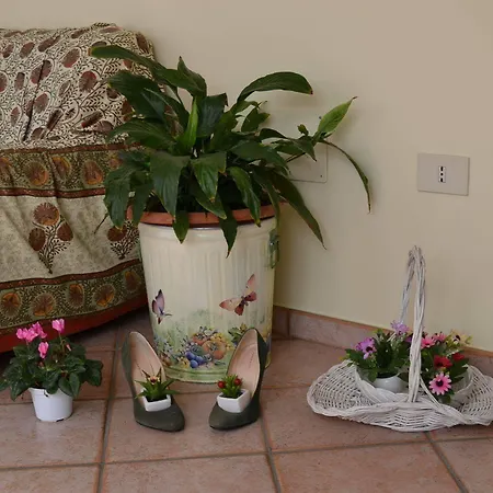 Marena Bed & Breakfast