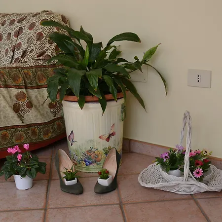 Marena Bed & Breakfast 2*